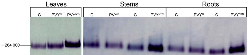 Ijms 10 03583f4 1024