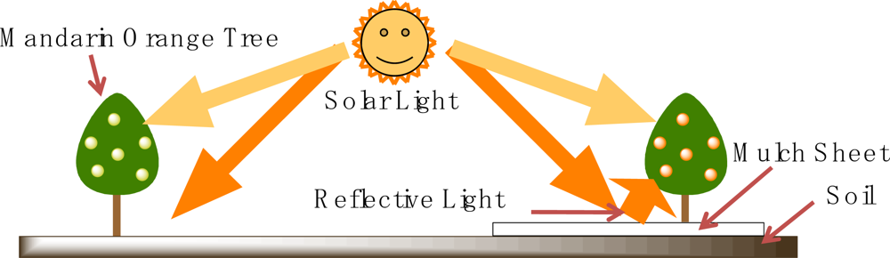 Ijms 10 03599f5 1024