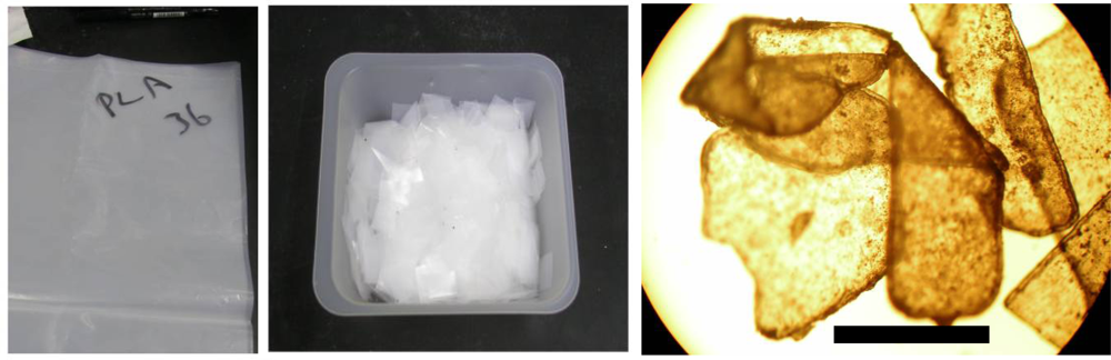 Ijms 10 03635f10 1024