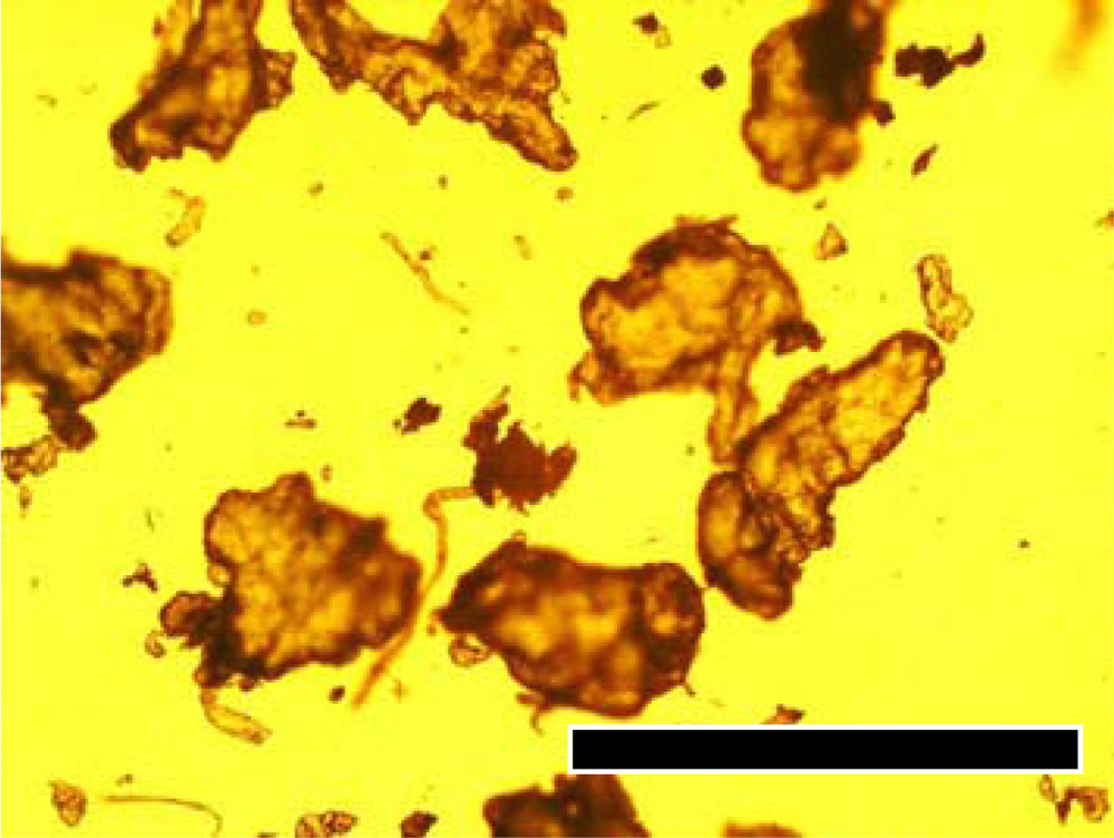 Ijms 10 03635f12 1024