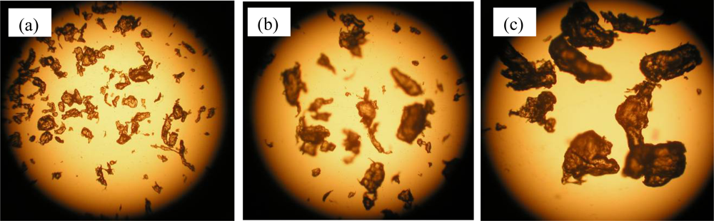 Ijms 10 03635f6 1024