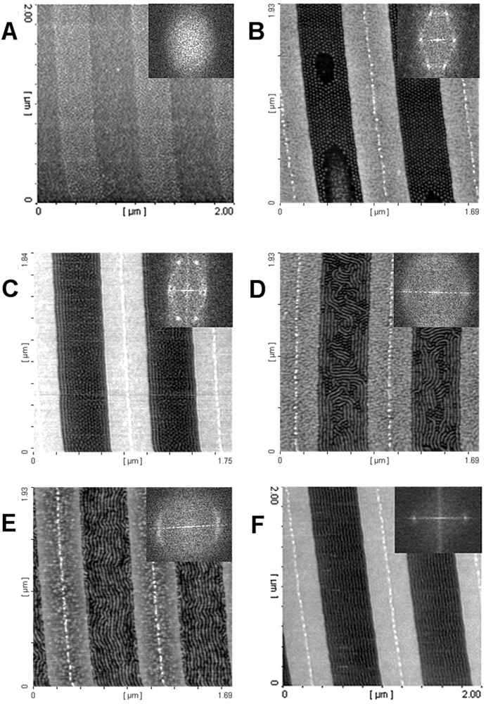 Ijms 10 03671f10 1024