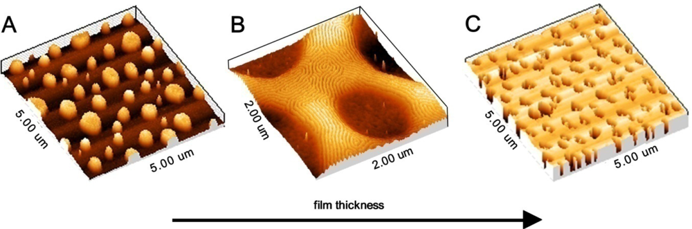 Ijms 10 03671f4 1024