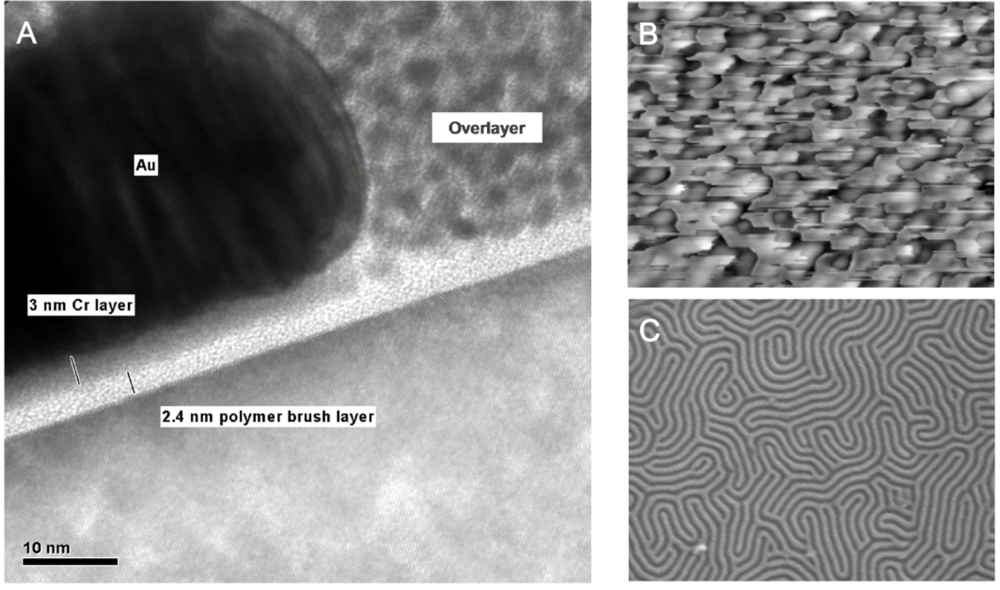 Ijms 10 03671f5 1024