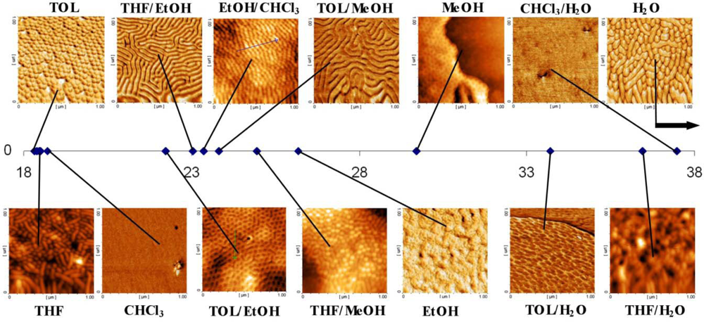 Ijms 10 03671f6 1024