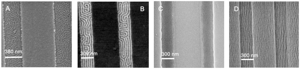 Ijms 10 03671f9 1024