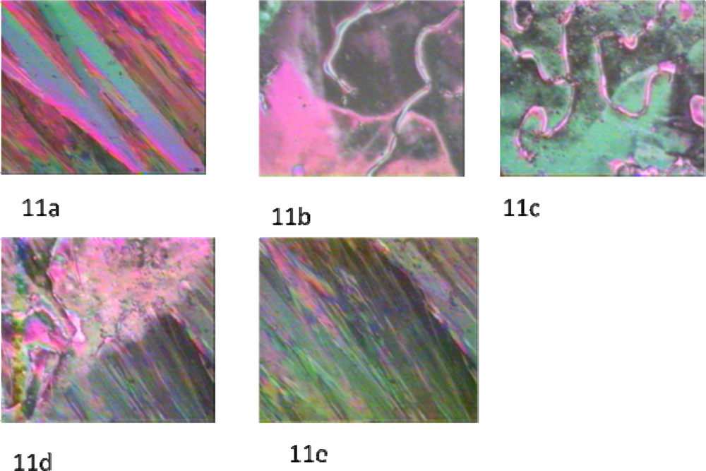 Ijms 10 04772f11 1024