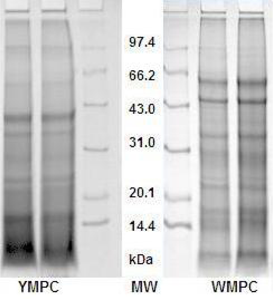 Ijms 10 05224f1 1024