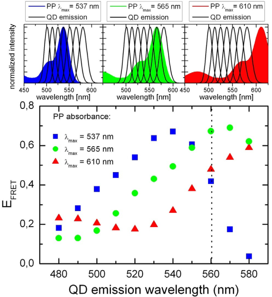 Ijms 10 05239f9 1024