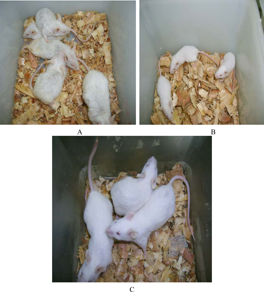 Ijms 10 05442f4 1024