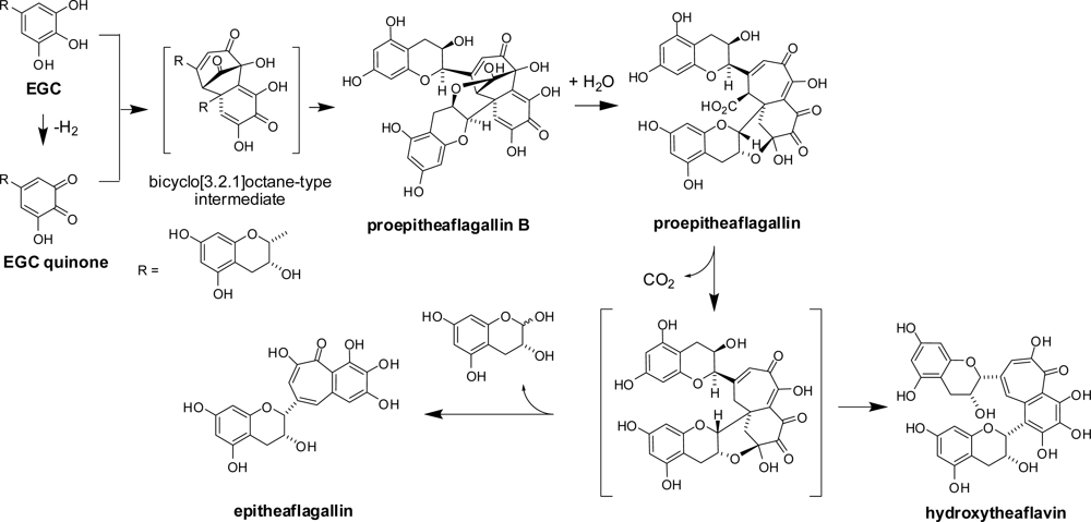 Ijms 11 00014f20 1024