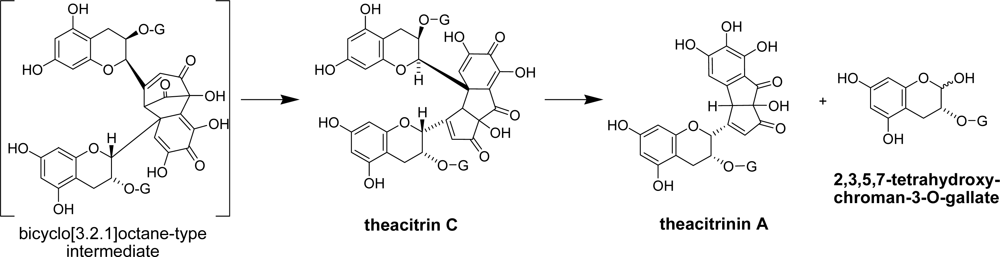 Ijms 11 00014f22 1024