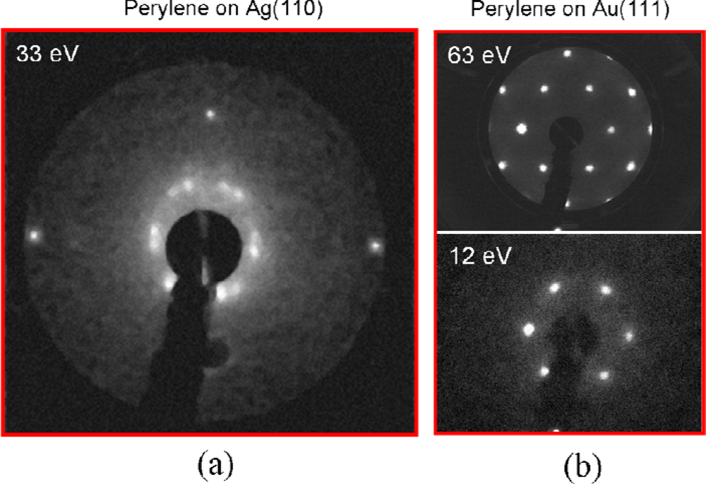 Ijms 11 00656f1 1024