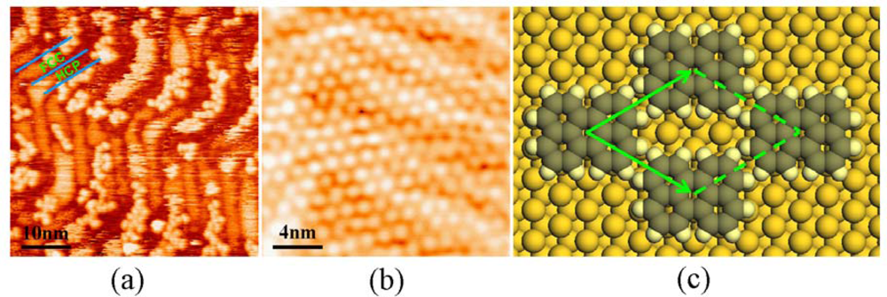 Ijms 11 00656f3 1024