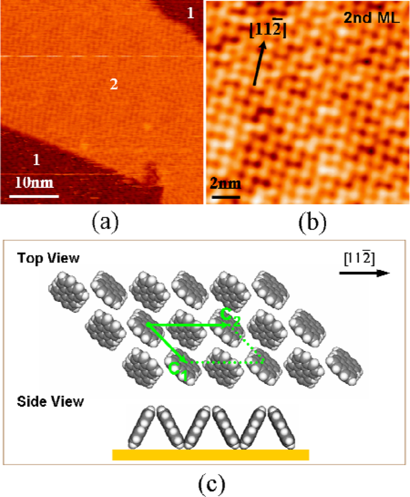 Ijms 11 00656f4 1024