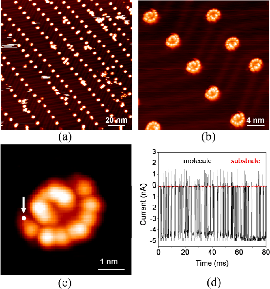 Ijms 11 00656f5 1024