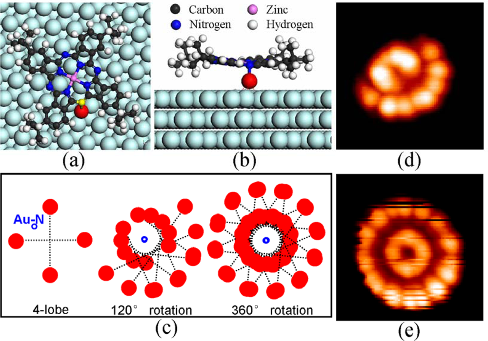 Ijms 11 00656f6 1024