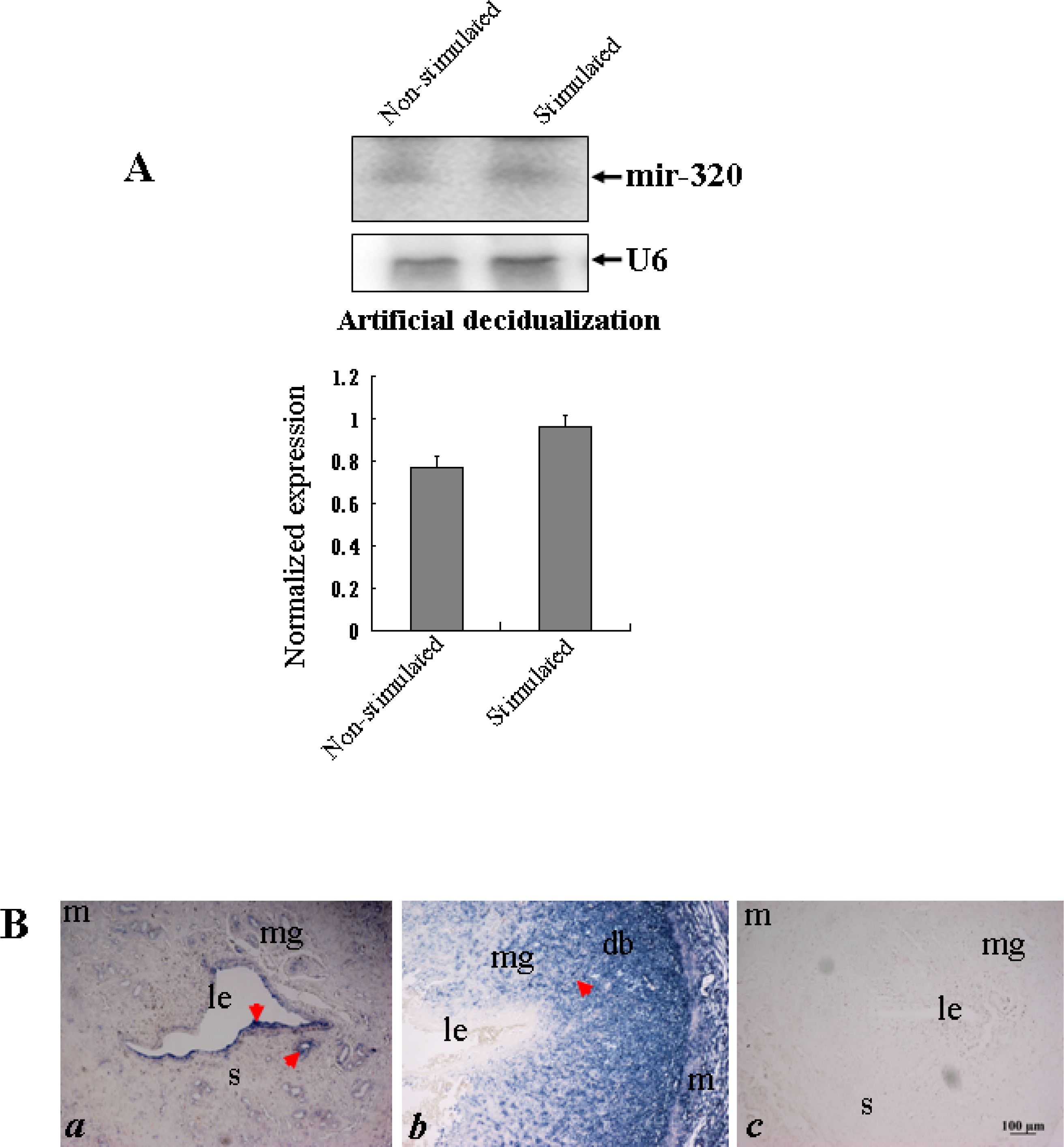 Ijms 11 00719f4 1024