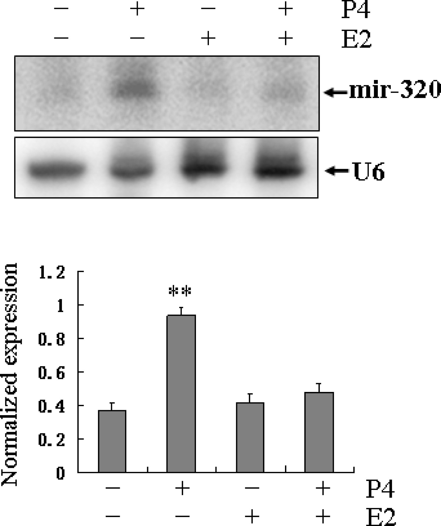 Ijms 11 00719f5 1024