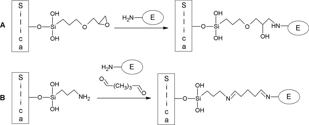 Ijms 11 00762f10 1024