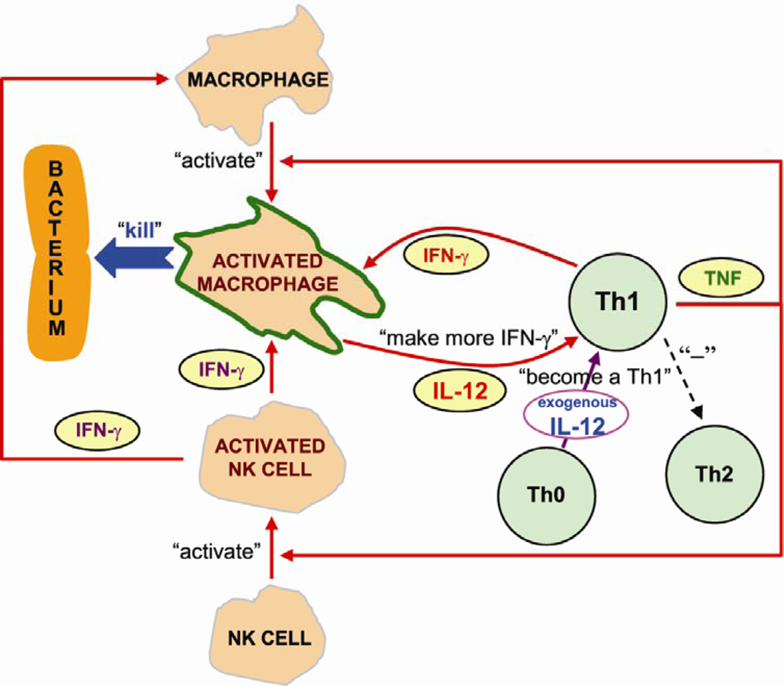 Ijms 11 00789f5 1024