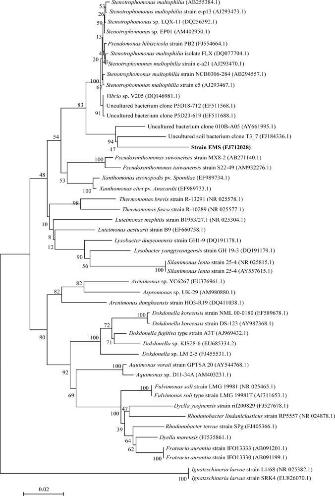 Ijms 11 00896f2 1024