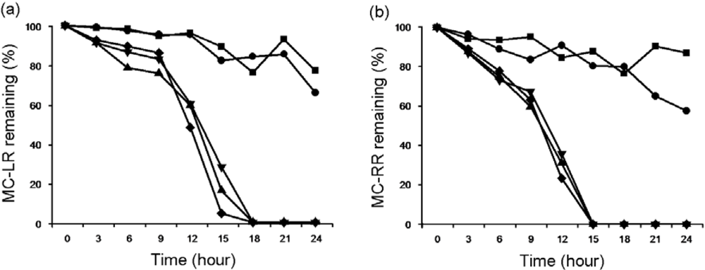 Ijms 11 00896f5 1024