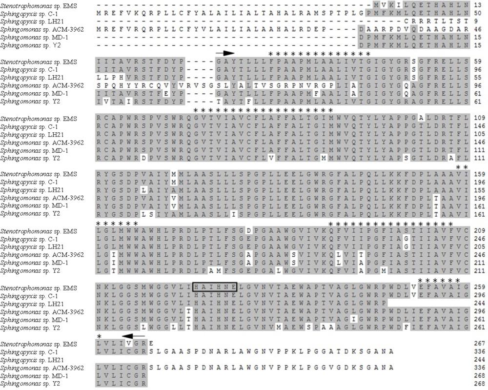 Ijms 11 00896f9 1024