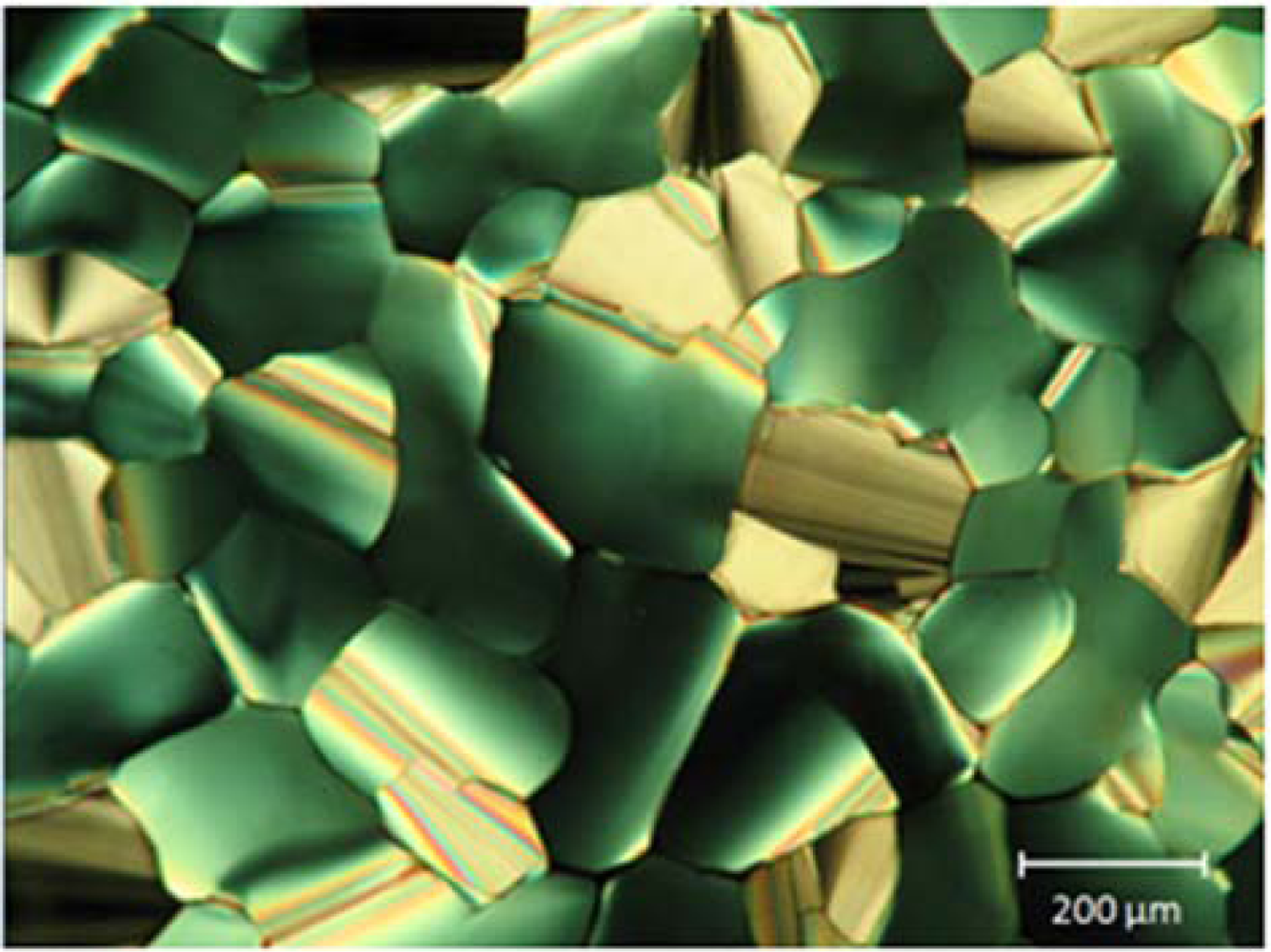 Ijms 11 00943f3 1024