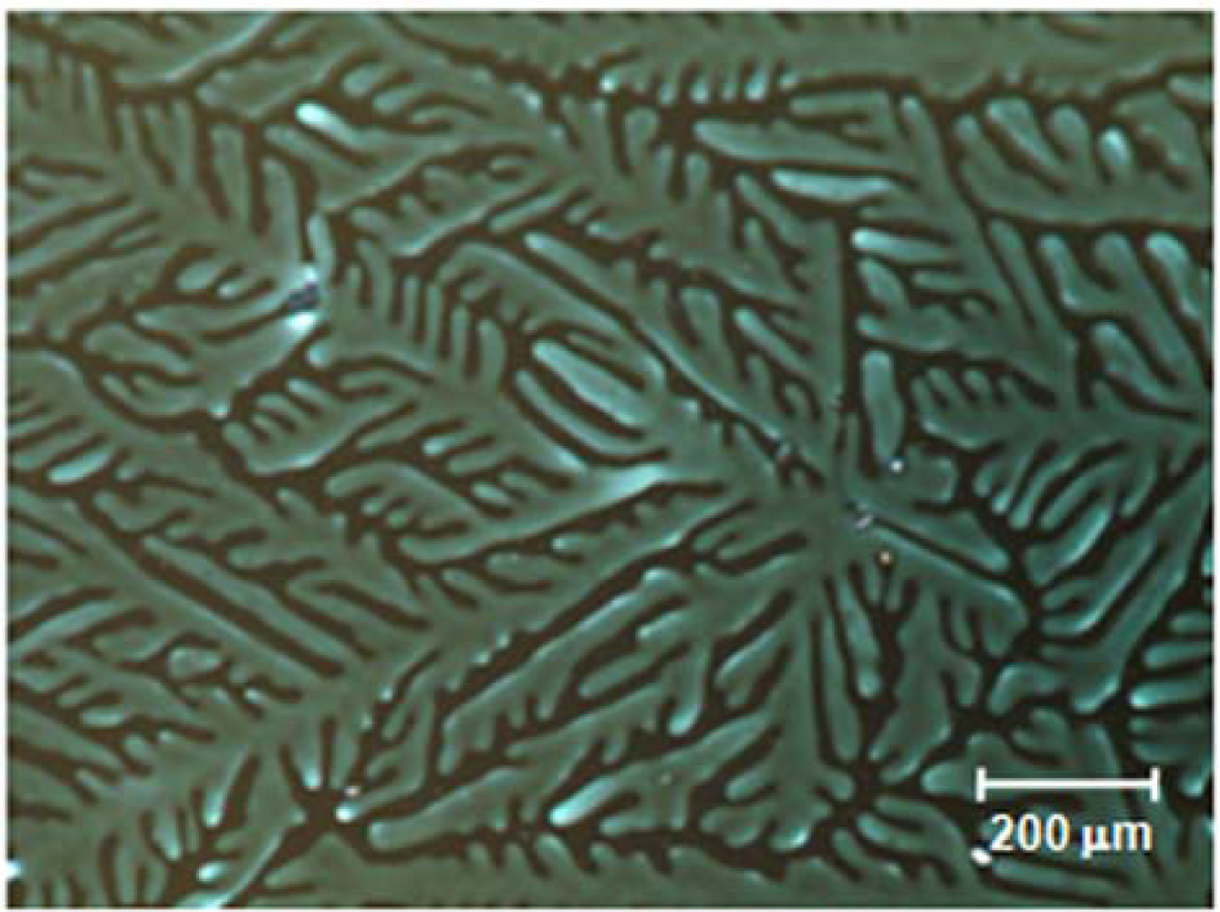 Ijms 11 00943f4 1024