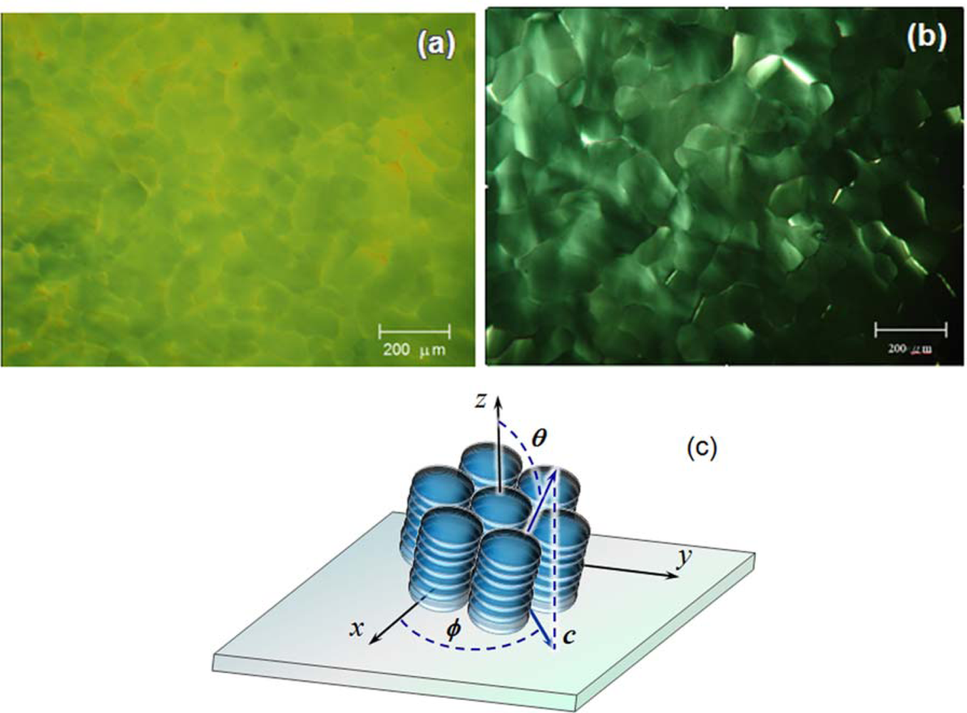 Ijms 11 00943f6 1024