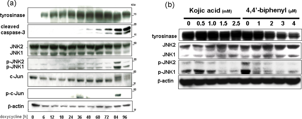 Ijms 11 01082f3 1024