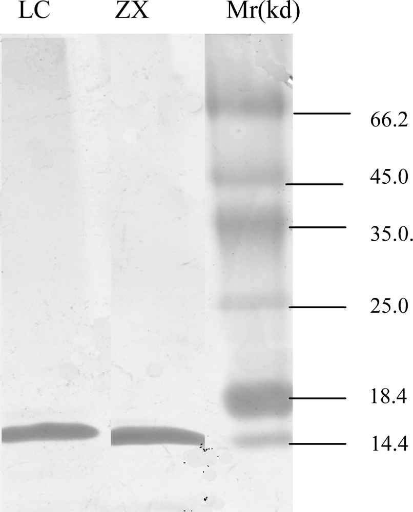 Ijms 11 01155f1 1024