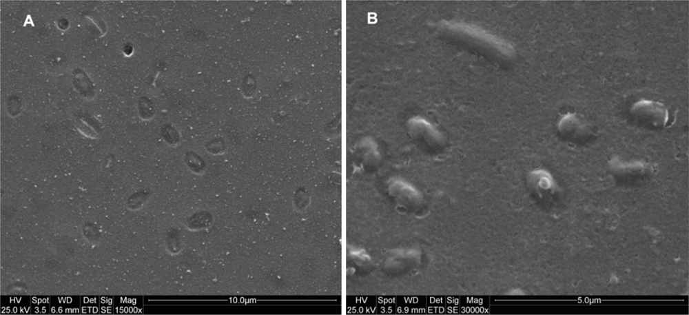 Ijms 11 01236f7 1024