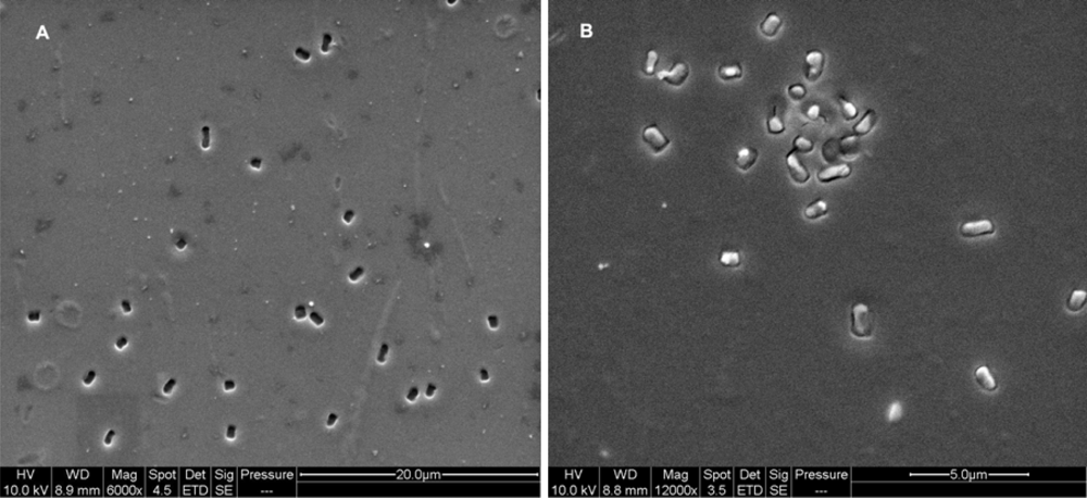 Ijms 11 01236f8 1024