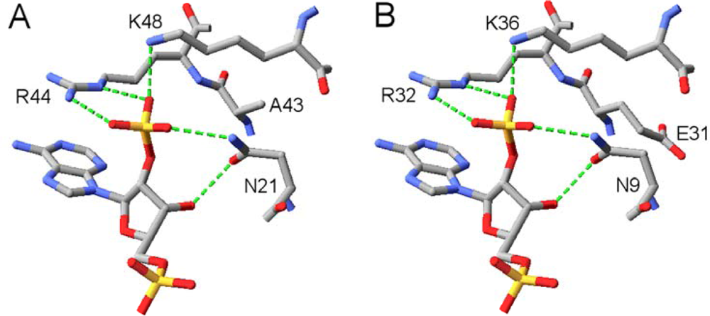 Ijms 11 01735f8 1024