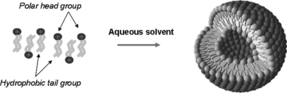 Ijms 11 01759f3 1024