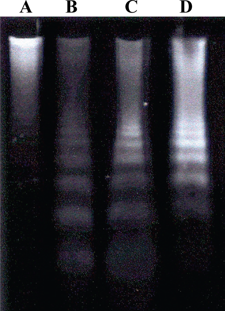 Ijms 11 01944f3