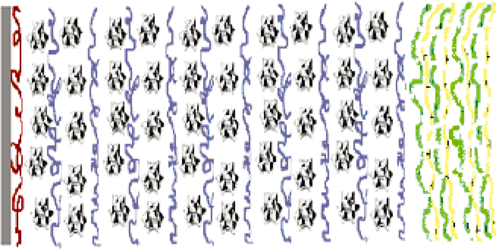 Ijms 11 01956f9