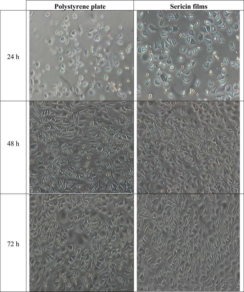 Ijms 11 02200f3 1024