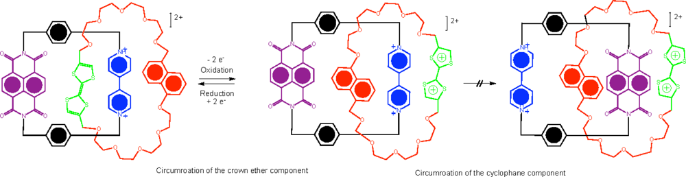 Ijms 11 02453f4 1024