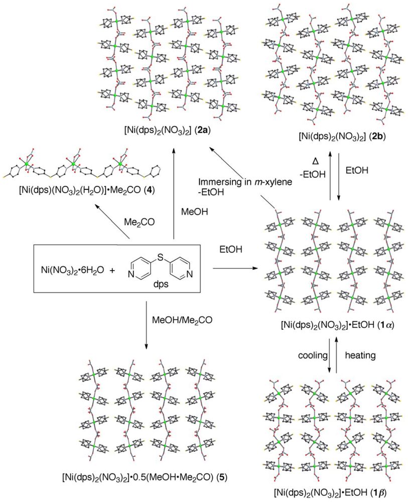 Ijms 11 02821f8 1024