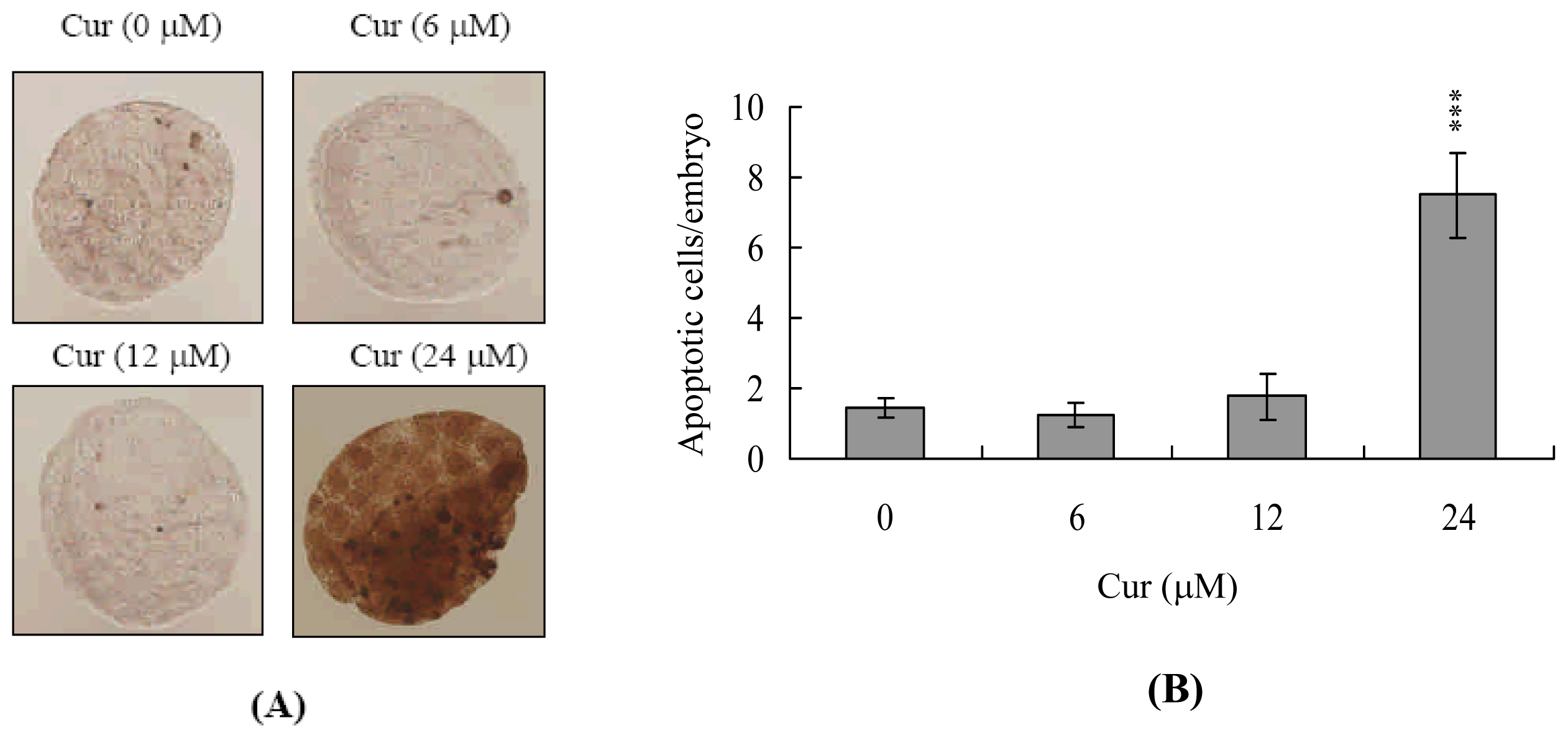 Ijms 11 02839f1 1024