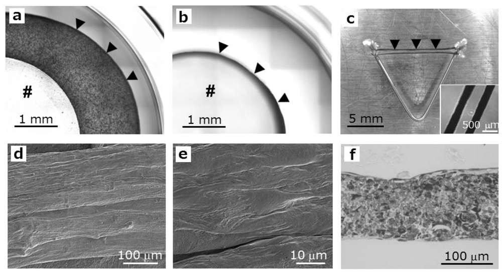 Ijms 11 02910f3 1024