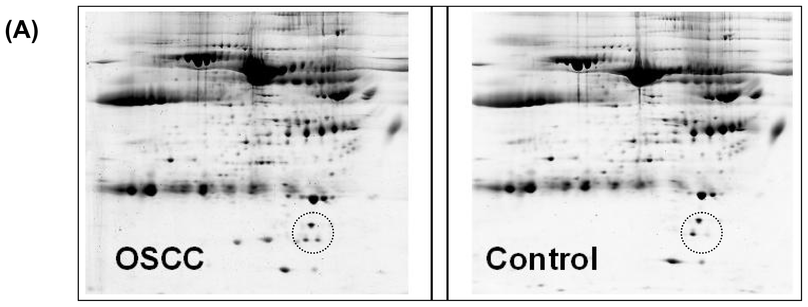 Ijms 11 03106f1a 1024