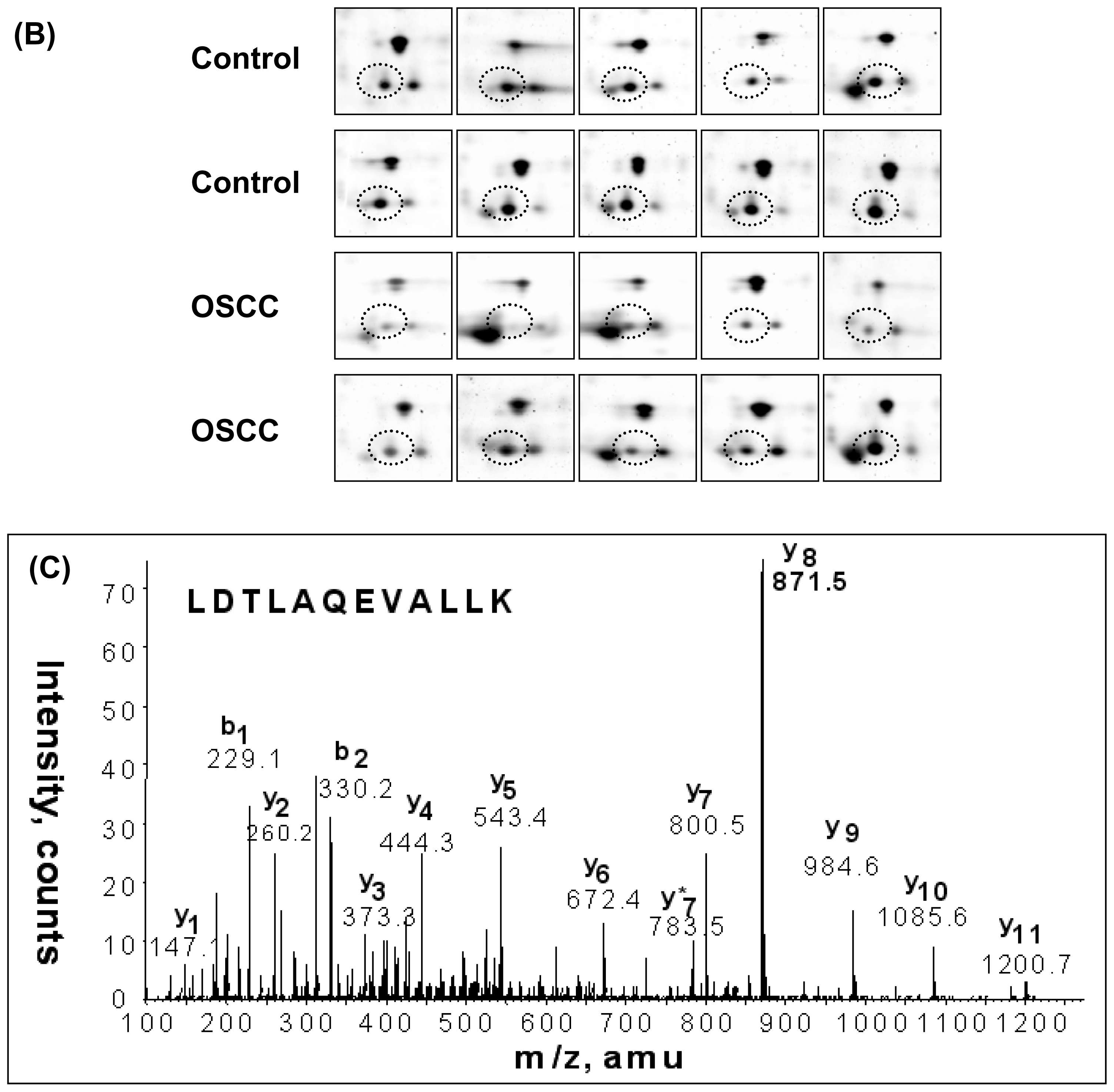 Ijms 11 03106f1b 1024