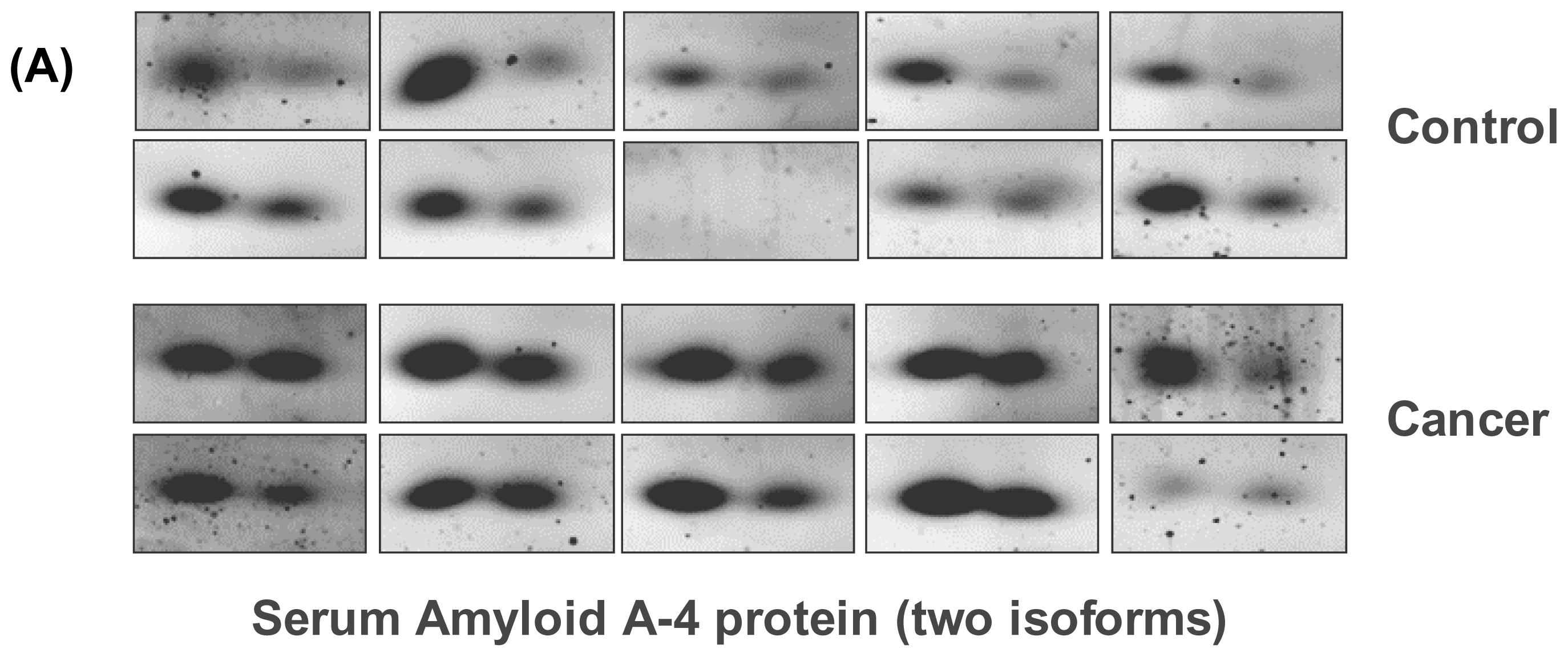 Ijms 11 03106f2a 1024