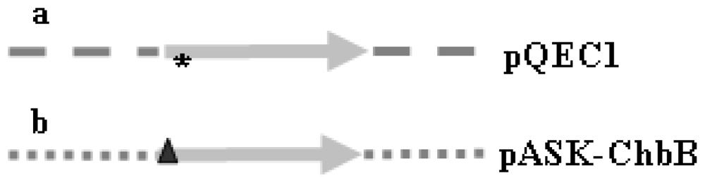 Ijms 11 03122f1 1024