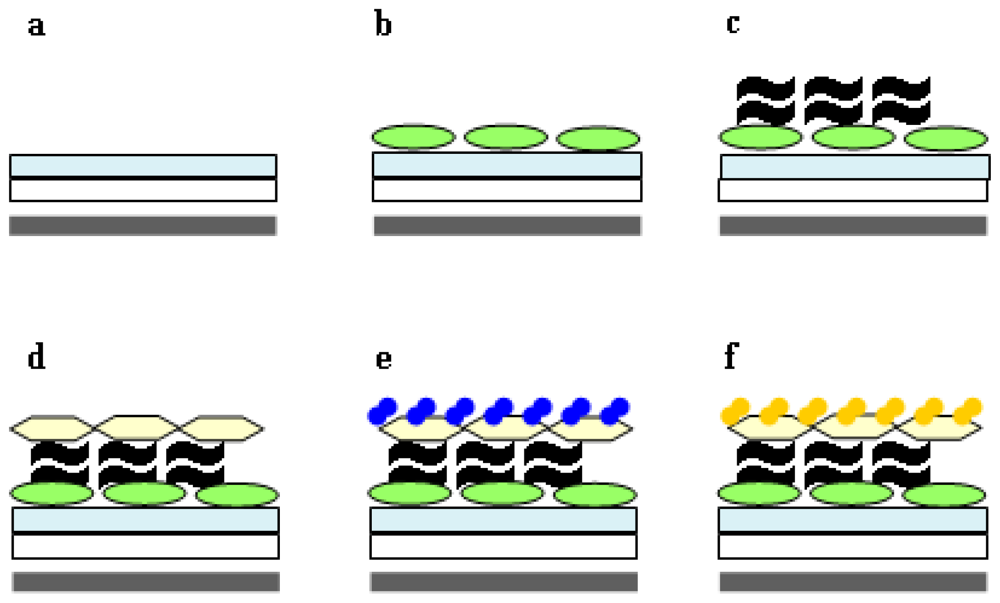 Ijms 11 03122f3 1024