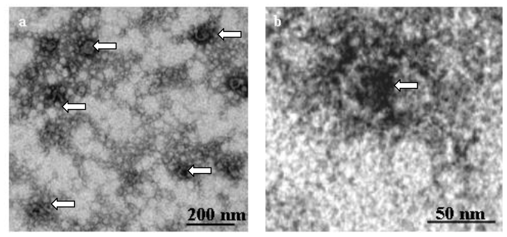 Ijms 11 03122f5 1024